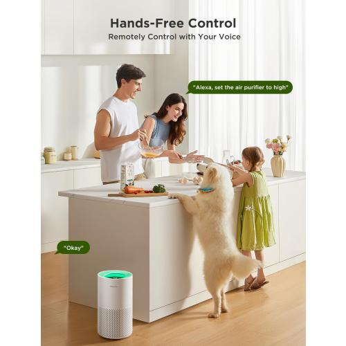 GoveeLife Air Purifiers for Home, Smart Air Purifier for Large Rooms with App & Alexa Control, Detachable Pre-filter, Covers up to 1162ft², Sleep Mode for Pet Hair, Pollen, Dust and Smoke