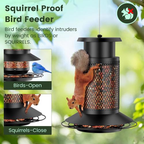 Black Hanging Bird Feeder with Squirrel Baffle, Squirrel Proof Bird Feeders for Outdoors, Heavy Duty Metal Design with Large Capacity Hanging Birdfeeder for Outside,