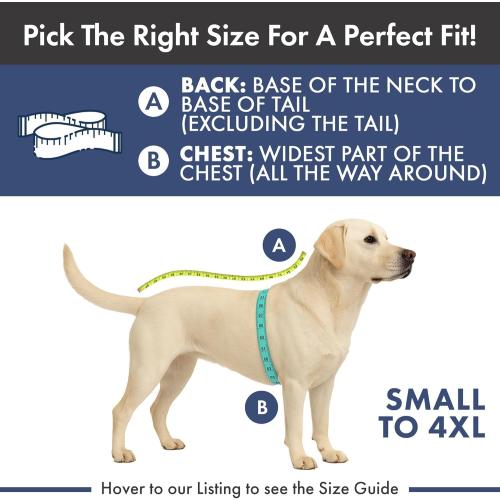 Spark Paws Dog Pajama, Dog Recovery Suit Male, Onesie, Ultra-Soft and 4-Way Stretch, for Small Medium and Large Breeds - Hearts - XL