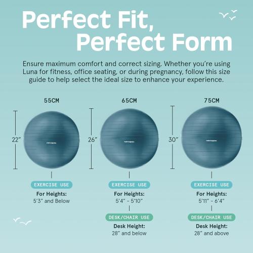Retrospec Luna Exercise Ball with Pump - Anti-Burst Fitness Equipment for Yoga, Core Training & Stability - Home Gym Swiss Ball for Office & Pregnancy