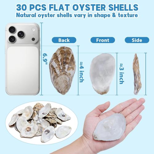 30PCS 3-4 Flat Oyster Shells, Natural Seashells for Crafts, Decoupage, Beach Wedding Decor & Christmas Ornaments, Bulk Medium Oyster Shells