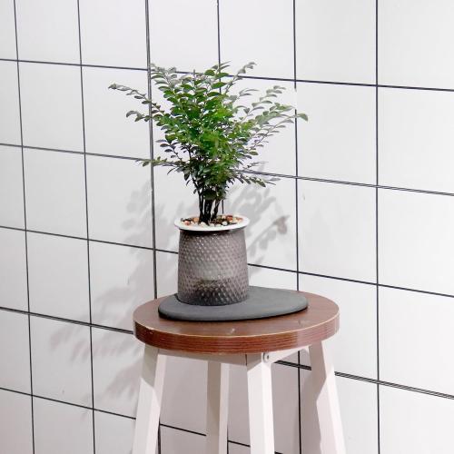 Elfcool Plant Saucer Quick Dry Absorbent Flower Plant Pot Saucer Dirp Tray Diatomaceous Earth Plant Mat for Indoor Outdoor Plants (12''-Dark Grey-1pack)