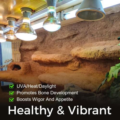 Reptile Infrared Heat Lamp Bulb 75W, 2-in-1 Day & Night Combo, Infrared Heat Lamp & UVA Sunlight Heating Lamp for Reptile Terrariums