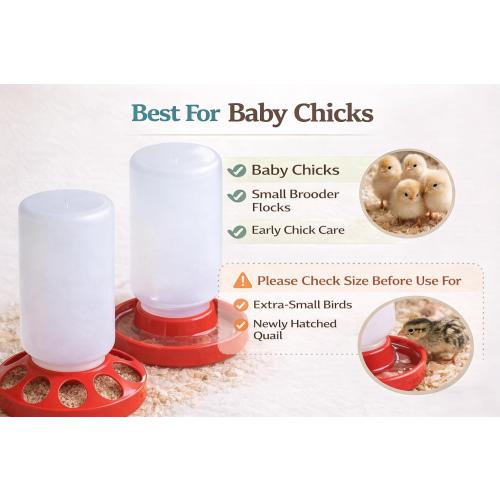Baby Chick Feeder and Waterer Set, 1 Quart Poultry Starter Kit