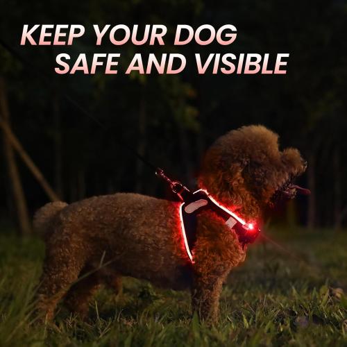 Size M-L PceoTllar Light Up Dog Harness, LED No Pull Reflective Dog Harness, Flashing Lighted for Night Walking , (Black Red,)