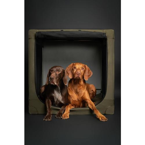 Noah & Paw Collapsible Dog Crate 42 Inch, XXL Dog Crate for XXL, XL, Large Breeds, Travel Kennel for Car, Includes Pet Mat for Pet Cage, 2 Storage Pockets, Handbag, 10mm Locking Zippers 42 * 31 * 31