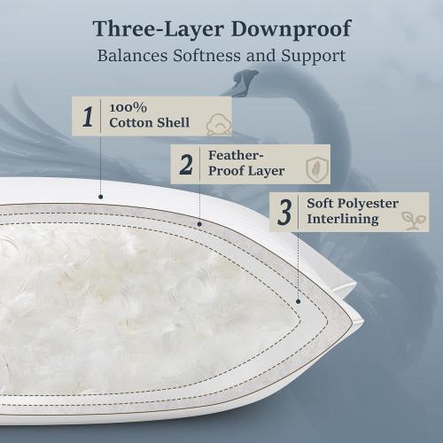 COZSINOOR Goose Down Feather Pillows Queen Size Set of 2