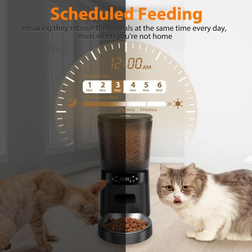 Automatic Cat Feeder, Cat Food Dispenser with Stainless Steel Bowl, Timed Portion Control 20 Portions 6 Meals Per Day, Voice Recorder, Dual Power Supply for Small Dogs