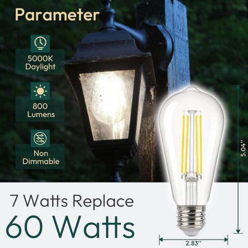 ALAMPEVER ST19 Dusk to Dawn LED Outdoor Light Bulb, 800LM Sunlight Sensor Light Bulbs, 7W (60W Equivalent), 5000K Daylight White, Automatic Light Bulb for Porch, Patio, Garage, 4 Pack, Non-Dimmable