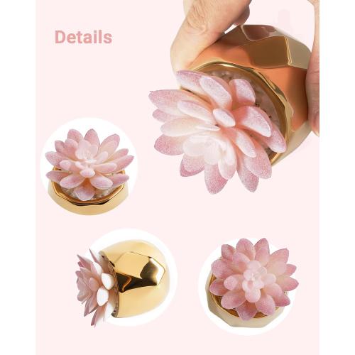 VIVERIE Mini Succulents Plants Artificial in Pots-Pink Succulents with Golden Ceramic, Small Fake Succulents for Home Decor Indoor for Women, White Ceramic Faux Succulents, Gifts for Mom-1 Pack