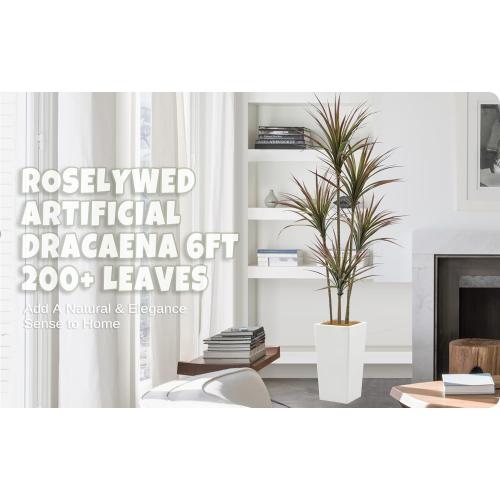 Size 6ft Artificial Dracaena Marginata Bicolor Tree 6FT with 200 Leaves & 5 Heads & White Tall Planter Cover with Coconut Fiber Tall Faux Tropical Yucca Silk Plant for Indoor Home Office Porch Decor