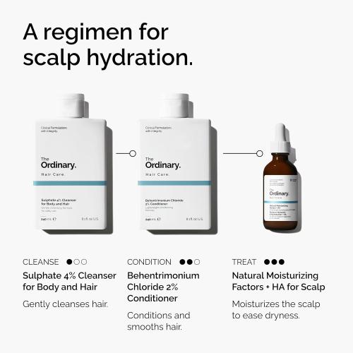 The Ordinary Hair Care Natural Moisturizing Factors   Hyaluronic Acid, Lightweight Hydrating Scalp Serum with Hyaluronic Acid and Squalane, 2 Fl Oz