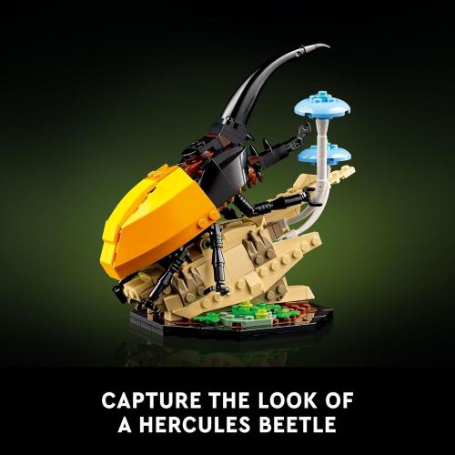 LEGO Ideas The Insect Collection, Fun Gift