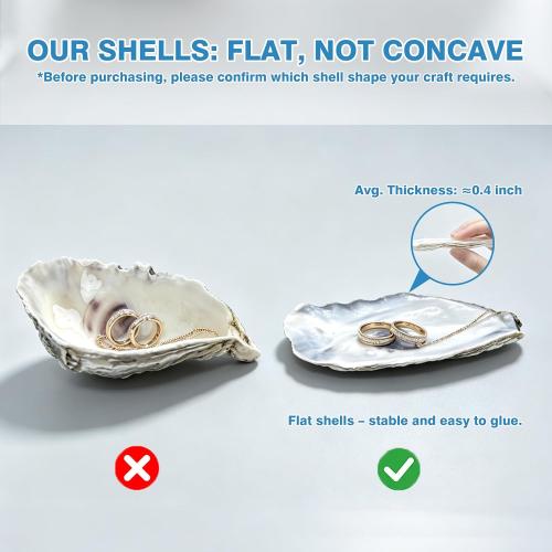 30PCS 3-4 Flat Oyster Shells, Natural Seashells for Crafts, Decoupage, Beach Wedding Decor & Christmas Ornaments, Bulk Medium Oyster Shells