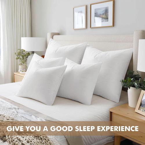Color White MIULEE Set of 2 Throw Pillow Inserts 100% Virgin Filling Nowoven Pillow Inserts for Couch Sofa Living Room