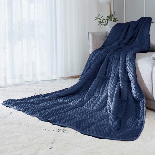 ALANSMA Reversible Weighted Blanket for All Season, Luxury Velvet, Warm and Cool, Adult 10Lb Blue Weighted Blanket, Enjoy Sleeping Anywhere(Blue,48x72 10lbs)