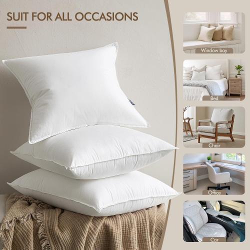 MIULEE 24x24 Throw Pillow Inserts,Set of 2 Decorative Pillow Inserts with Soft Cotton Cover,Fluffy and Cozy Indoor Square Sofa Couch Pillow Inserts White
