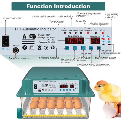 Incubators for Hatching 36 Eggs with Automatic Egg Turning and Humidity Monitoring - 4 Automatic Incubation Modes for Chicken Duck Goose Pigeon
