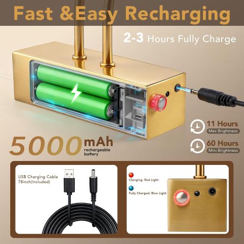 RAIFOOLLY Picture Light, Picture Lights for Wall Cordless, 20inch Picture Lights with Timer and Dimmable, 5000mAh Battery Wall Lights for Display Gallery Painting Art Frame Portrait