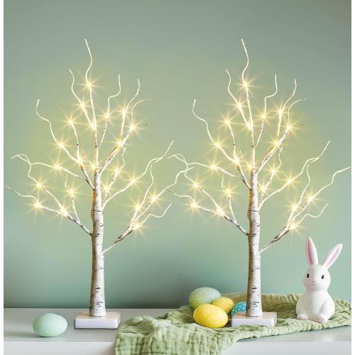 PEIDUO Easter Decorations, 2FT Birch Tree with LED Lights, Warm White Light up Tree Lamp, Easter Tree for Home Table Inside, Easter Decor Indoor, Battery Powered, Timer (2PK)