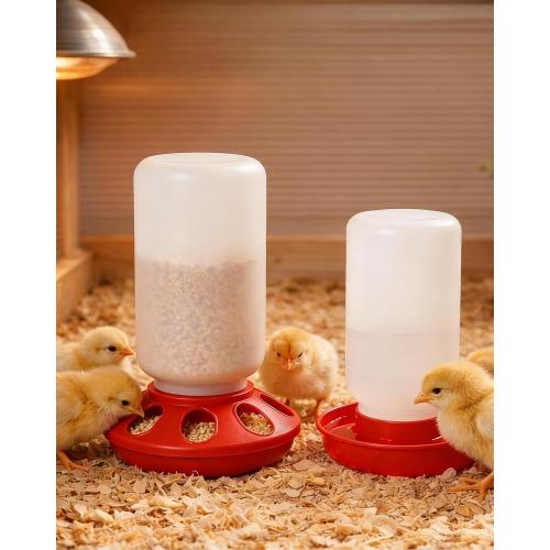 Baby Chick Feeder and Waterer Set, 1 Quart Poultry Starter Kit