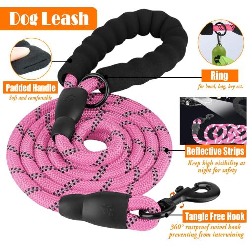 LOBEVE No Pull Dog Harness, Collar & Leash Set with Travel Accessories