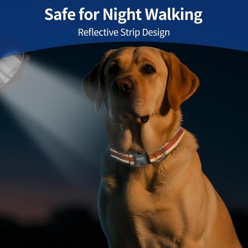 Kazazoo Reflective Dog Collar with Soft Padding Dog Collar for Medium & Small Dogs, No Pull, Heavy Duty, Adjustable Nylon Collar with Quick-Release Buckle, Walking Training-Orange-XS