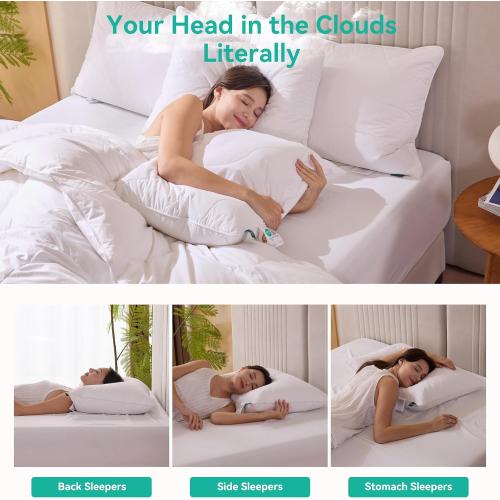 Three Geese White Goose Feather Down Pillows Standard Size Set of 1-100% Cotton, Medium Firm,Soft Support