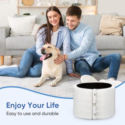 2Pack Blue Signature Filter Compatible with Large Model Air Purifier Pollen, Dust, Smoke, Pet Hair & Odors Air Purifier Filter
