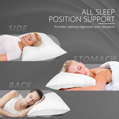 Bed Pillows Queen Size Set of 2, Hotel Quality Soft Down Alternative Bed Pillow for Side and Back Sleepers, 20 x 30 Inches