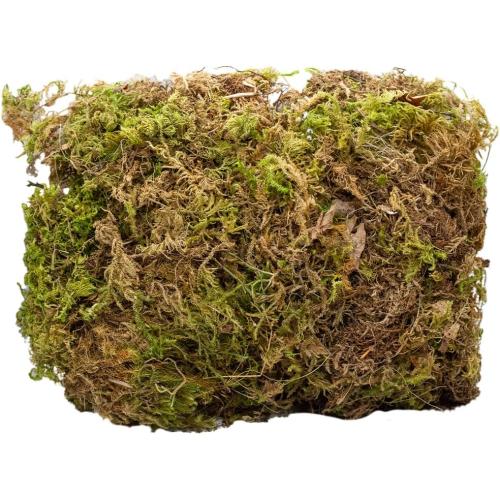Green and Brown Craft Moss | Create Realistic Scenes and Terrain | Great for Use on Nativity Stables, Creches, and Nature Displays | DIY Greenery | Made in Italy