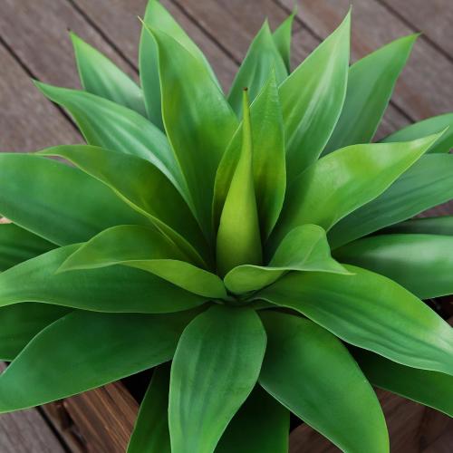 Artificial Plants Fake Agave Succulent Plant  Big Size Faux Succulents Stems for Indoor Outdoor Realistic & Natural Home Decor Plants for Office Housewarming