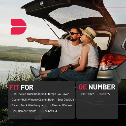 BDFHYK C16-09322 10 inch 40Lbs/(178N Gas Struts Shocks Lift Support for are Leer Camper Shell Topper Rear Window, Truck Bed Cover, Cabinet lid Door, Trap Door, Outdoor Bench, shed Window, Set of 2