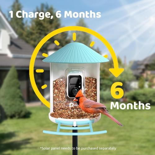 Color Blue NETVUE by Birdfy Smart Bird Feeder with Camera, Bird Watching Camera, Auto Capture Video & Motion Detection, 1080P Live Steam, Cardinal Feeder Outdoor Wireless, Ideal Present for Backyard Birder, Blue