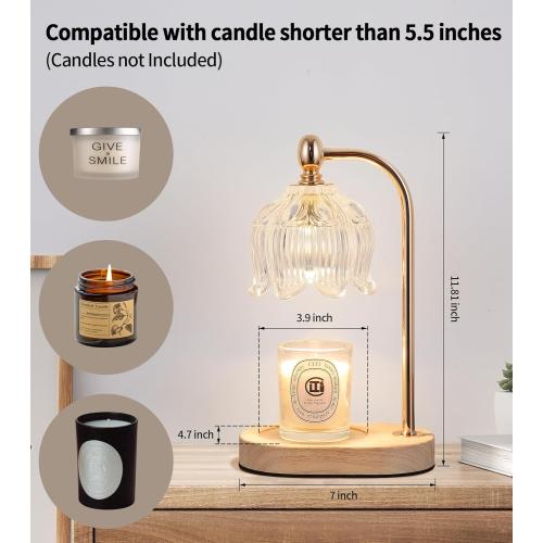 Candle Warmer Lamp with Timer and Dimmer,Electric Gold Light Gifts for Women Melt Wax Warmer Lamp with 2 Bulbs for Candle Jars House Warming New Home Decor Bedroom
