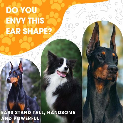 4 Set Doberman Ear Posting Kit for Doberman Pincher Samoyed with Extra 2 Rolls Dog Ear Tapes