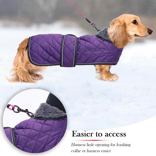 Warm Thermal Quilted Dachshund Coat,Dog Winter Coat with Warm Fleece Lining,Outdoor Dog Apparel with Adjustable Bands for Medium,Large Dog-Purple-M