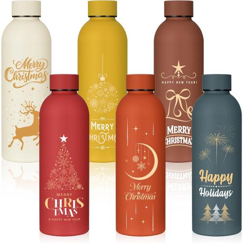 LemonRoad 6 Pcs Christmas Stainless Steel Cup, 17 oz Employee Appreciation Reusable Gift, Thank You Water Bottle Bulk, Color Sport Bottle, Inspirational Team for Coworker Teacher Nurse Staff Gift