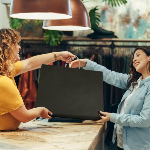 SHOPDAY Black Paper Bags with Handles 16x6x12, 25 Pack Large Kraft Paper Bags Bulk, Tote Bag Shopping Bags, Paper Gift Bags, Retail Bag Merchandise Bags for Grocery Business Takeouts