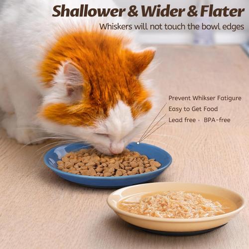 WROSWT Colorful Cat Food Bowl,Non-Slip Silicone Bottom Cat Bowls for Indoor Cats,Anti Whisker Fatigue Cats Dishes Set,Shallow Wide Kitten Plates for Food and Water,4 Pack