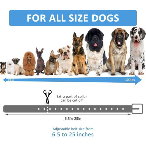 Replacement Collar Strap, Compatible with Petsafe,PATPET,Sportdog,Garmin,Dogtra,etc Most Training Collar/Fence Reciever, 3/4',Adjustable,Metal Buckled,Waterproof (Black Pack2)