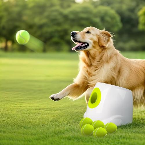 White ALL FOR PAWS Automatic Ball Launcher for Dogs Interactive Puppy Pet Ball Outdoor Thrower Fetch Machine, 6 Balls Included (2.5 inch) for Medium to Large Dogs, Rechargeable Battery