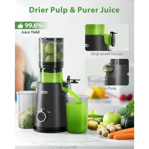 Juicer Machines - Wide Mouth Feed Chute with Self Feeding Hands-Free Design - Cold Press Juicer for Vegetables and Fruits - Juice Extractor Machine High Juice Yield - With Pusher