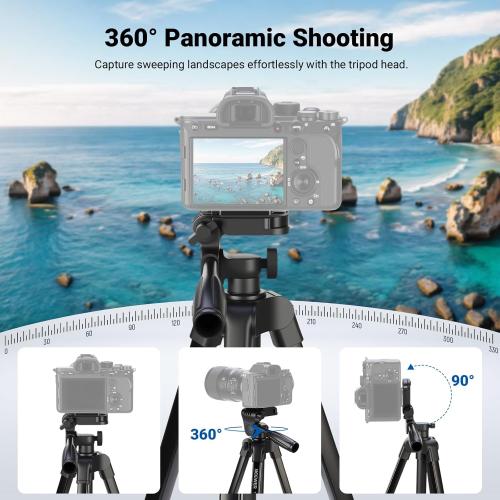 NEEWER Entry Level Version Tripod for Cell Phone & Camera, Metal Lightweight Portable Travel Stand with Cold Shoe Cellphone Holder Mount Compatible with iPhone for Video Recording Filming, TP53