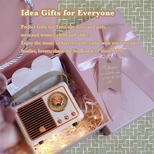 Retro Bluetooth Speaker, Wireless Mini Portable Speakers Vintage Radio Support USB/TF Card/AUX, Cute Bluetooth Speaker for Kitchen Desk Bedroom Office, Birthday Gifts for Women Teenage, Pink