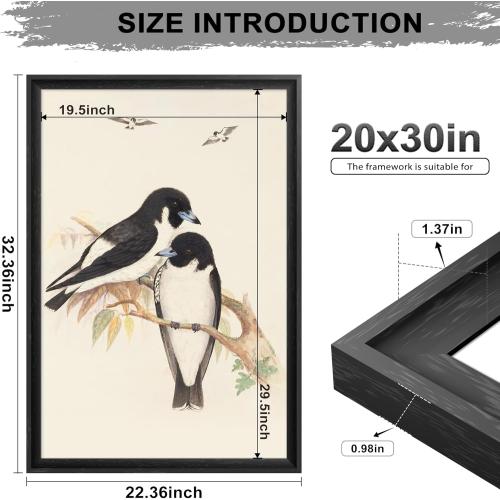 20×30 Frame Black, Hang Horizontally or Vertically, Perfect 20x30 Poster Frame for Photos, Posters & Artwork