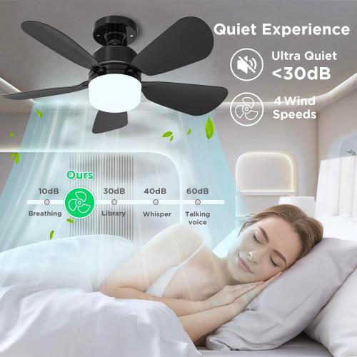 2Pack Socket Fan Light With Remote, Screwing Ceiling Fans with Dimmable Lights, 3 Colors 3000K-6500K,Ceiling Fan Light Kit Bulb for Bedroom Living Room Kitchen Garage Dinning Room