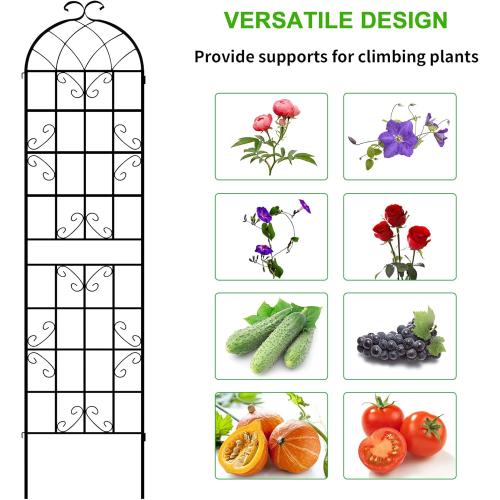 LZRS 2 Pack 83x20in Rustic Iron Arch Decoration Garden Trellis with Black Metal Coating – Perfect for Supporting Climbing Plants Outdoor, Roses, Vines, Flowers, and Vegetables.
