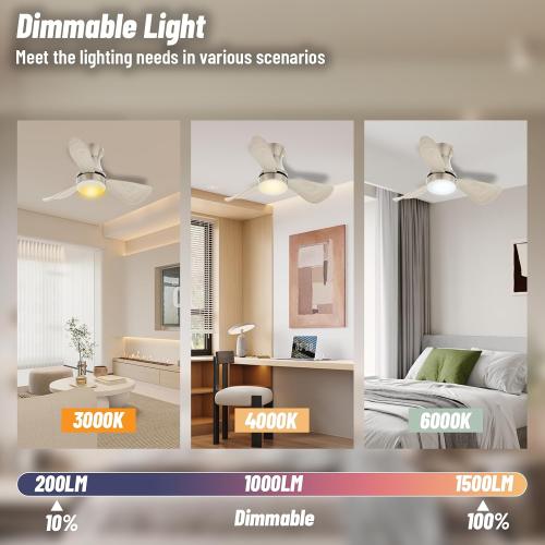 30 Inch Flush Mount Ceiling Fan with Light - Small Ceiling Fan with Light for Bedroom/Kids Room/Small Room - Low Profile Design - Indoor/Outdoor Use - 3 Blades Gray