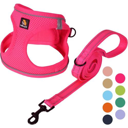 BELLA & PAL Step in Vest Harness for Small and Medium Dogs, No Pull Small Dog Harness with Leash Set, Comfortable Air Mesh Dog Vest Harness with Reflective Strip (Hot Pink, S)